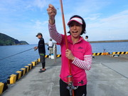 画像(180x135)・拡大画像(480x360)