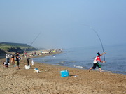 画像(180x135)・拡大画像(480x360)