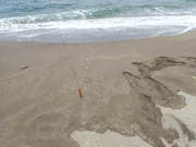 画像(180x135)・拡大画像(480x360)