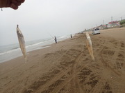 画像(180x135)・拡大画像(480x360)