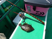 画像(180x135)・拡大画像(480x360)