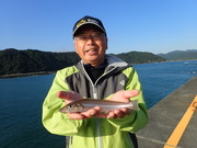 画像(180x135)・拡大画像(480x360)