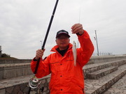 画像(180x135)・拡大画像(480x360)