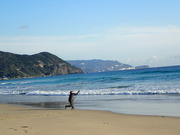 画像(180x135)・拡大画像(480x360)