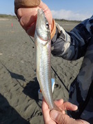 画像(135x180)・拡大画像(360x480)