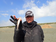 画像(180x135)・拡大画像(480x360)