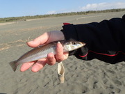 画像(180x135)・拡大画像(480x360)