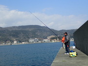 画像(180x135)・拡大画像(480x360)