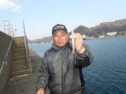 画像(180x135)・拡大画像(480x360)