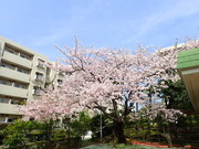 画像(180x135)・拡大画像(480x360)