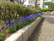 画像(180x135)・拡大画像(480x360)