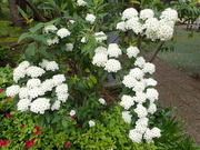 画像(180x135)・拡大画像(480x360)