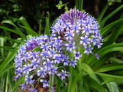 画像(180x135)・拡大画像(480x360)