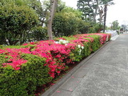 画像(180x135)・拡大画像(480x360)