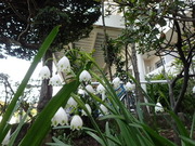 画像(180x135)・拡大画像(480x360)