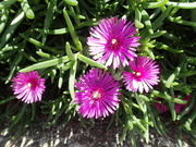 画像(180x135)・拡大画像(480x360)