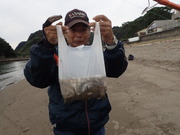 画像(180x135)・拡大画像(480x360)