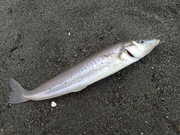 画像(180x135)・拡大画像(480x360)