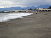 画像(180x135)・拡大画像(480x360)