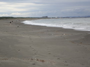 画像(180x135)・拡大画像(480x360)