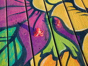 画像(180x135)・拡大画像(480x360)