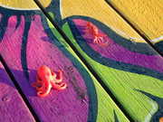 画像(180x135)・拡大画像(480x360)