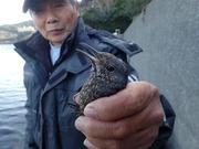 画像(180x135)・拡大画像(480x360)