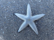 画像(180x135)・拡大画像(480x360)