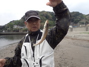 画像(180x135)・拡大画像(480x360)