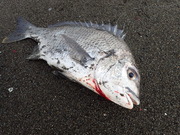 画像(180x135)・拡大画像(480x360)