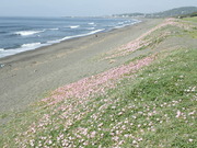 画像(180x135)・拡大画像(480x360)