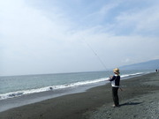 画像(180x135)・拡大画像(480x360)