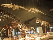 画像(180x135)・拡大画像(480x360)