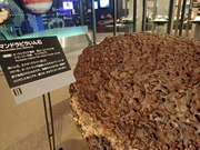 画像(180x135)・拡大画像(480x360)