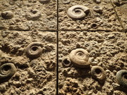 画像(180x135)・拡大画像(480x360)