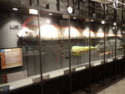 画像(180x135)・拡大画像(480x360)