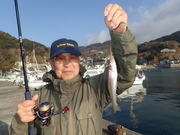 画像(180x135)・拡大画像(480x360)