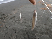 画像(180x135)・拡大画像(480x360)