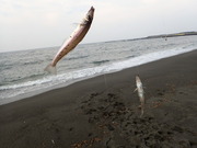 画像(180x135)・拡大画像(480x360)