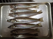 画像(180x135)・拡大画像(480x360)