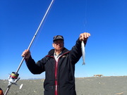 画像(180x135)・拡大画像(480x360)