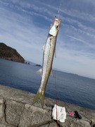 画像(135x180)・拡大画像(360x480)