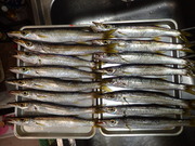 画像(180x135)・拡大画像(480x360)