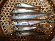 画像(180x135)・拡大画像(480x360)