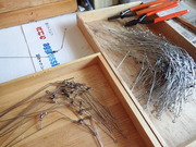 画像(180x135)・拡大画像(480x360)