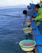 画像(142x180)・拡大画像(300x378)