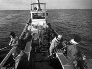 画像(180x136)・拡大画像(300x227)