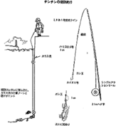 画像(163x180)・拡大画像(300x331)