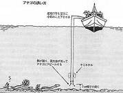 画像(180x136)・拡大画像(272x207)